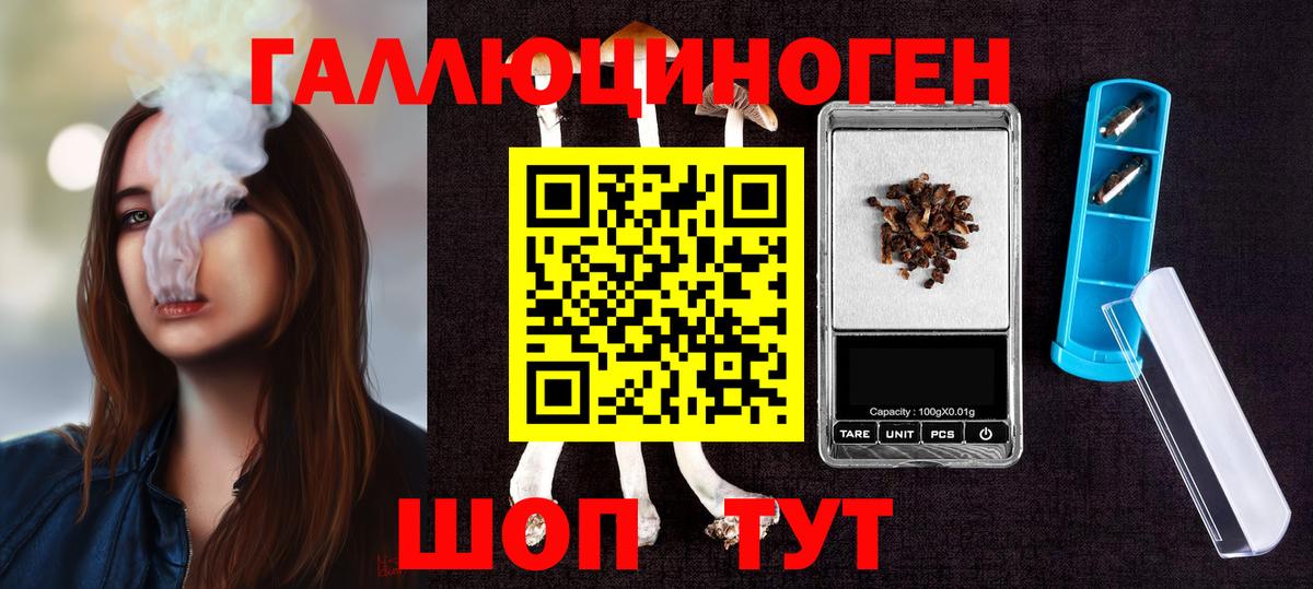 закладки  Галлюциногенные грибы Magic Shrooms  Вход с VPN  Елизово  Галлюциногенные грибы Cubensis 