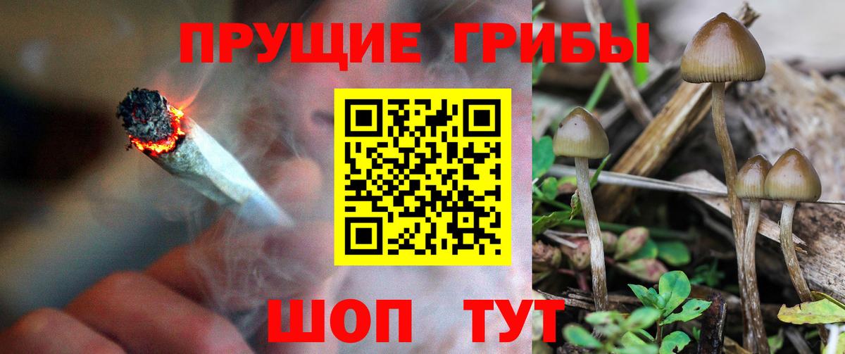 Галлюциногенные грибы GOLDEN TEACHER Елизово